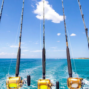 Meet your Posher, Gunner